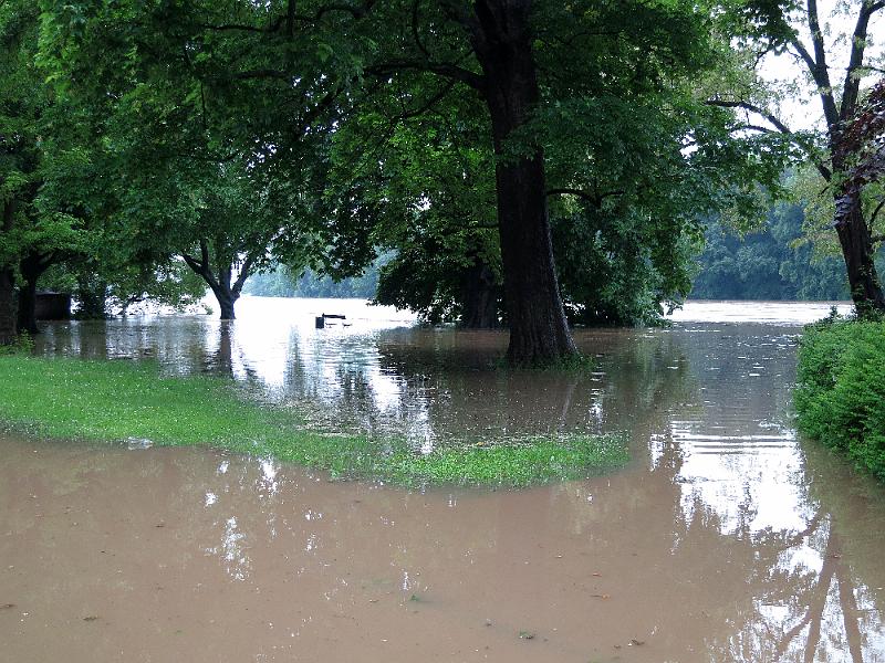 Hochwasser (70).JPG